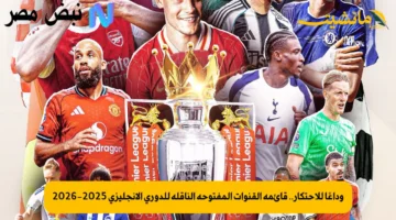 وداعًا للاحتكار.. قائمة القنوات المفتوحة الناقلة للدوري الإنجليزي 2025-2026